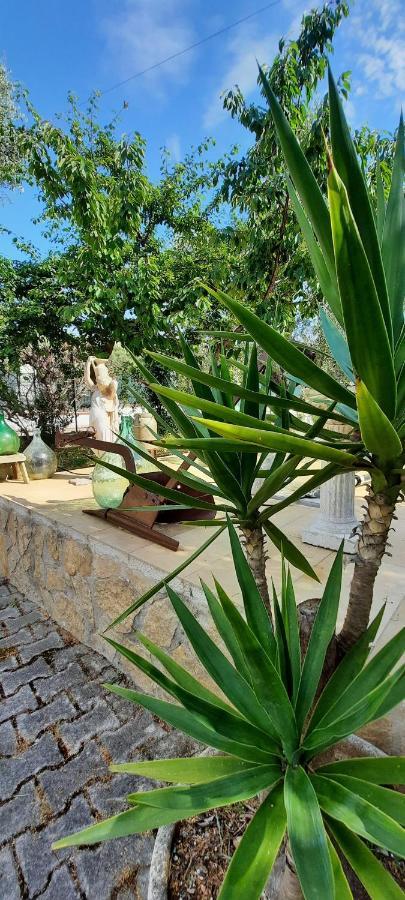 Villa Vale Mery Вьесте Экстерьер фото
